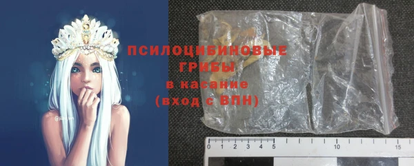 крисы Лагань