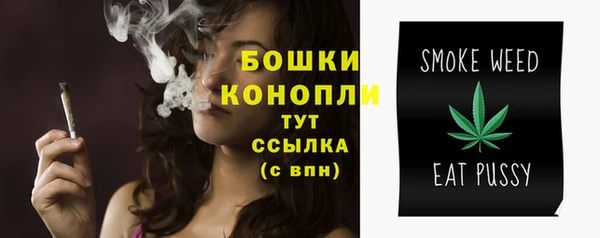 ПСИЛОЦИБИНОВЫЕ ГРИБЫ Липки